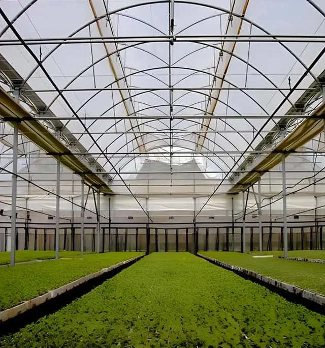 Gewächshaus Glas Blog und Download