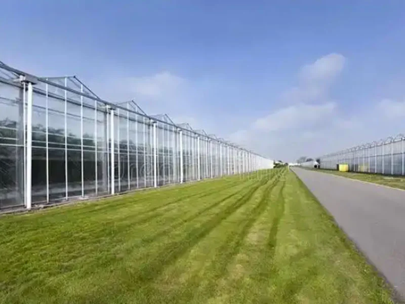 Analyse der Vorteile intelligenter Glas gewächse