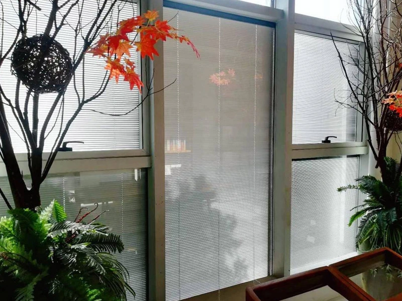 Blind isoliertes Glas-Einfache Reinigung & Schall dicht & Besserer Beschattung effekt